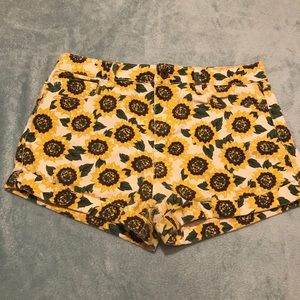 Sunflower shorts